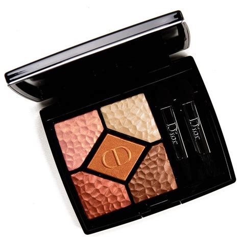 dior eyeshadow sienna terra swatch|Dior Sienna (696) Eyeshadow Palette Review & Swatches.